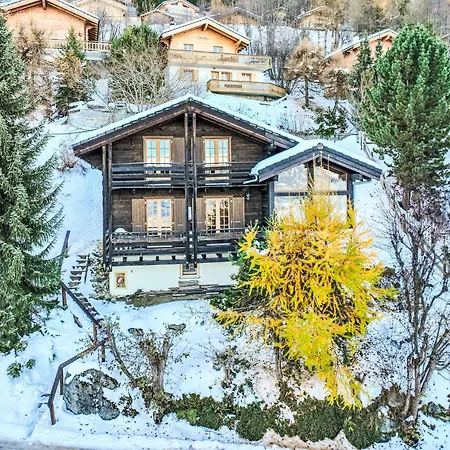 Valet De Coeur By Interhome Chalé Nendaz